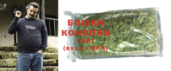шишки Нефтегорск